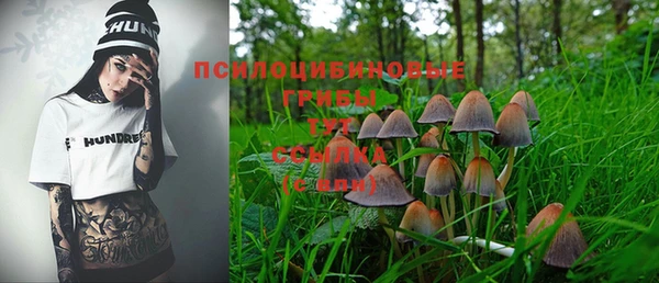 не бодяженный Бронницы