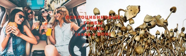 не бодяженный Бронницы