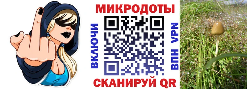 купить   kraken tor  Галлюциногенные грибы Psilocybine cubensis  Чехов 